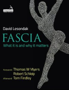 Fascia what it is and how it works