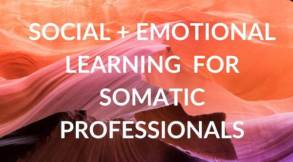 Social and emotional learning for somatic professionals SML