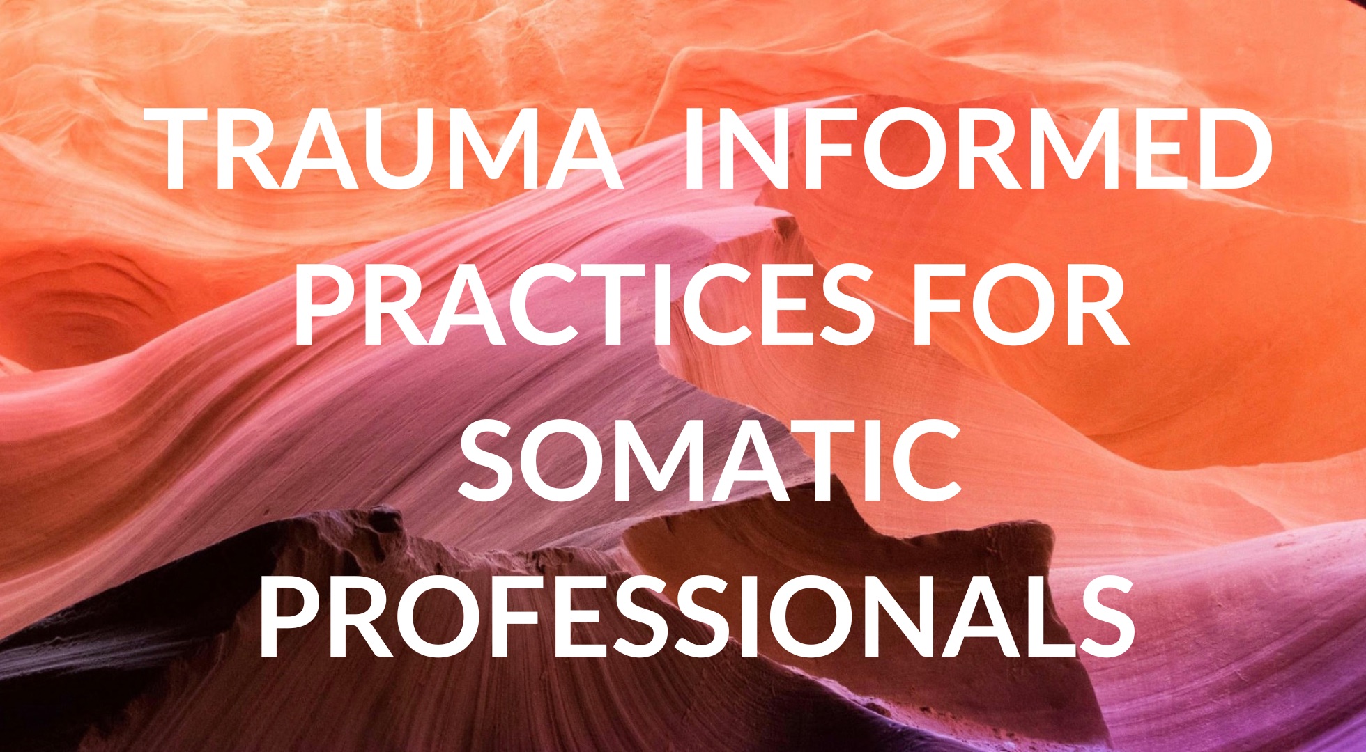 Trauma Informed Practices for Somatic Professionals LARGE