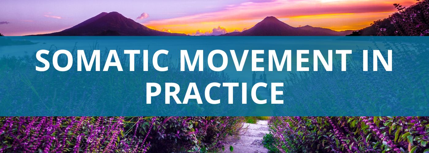 PDC SOMATIC MOVEMENT IN PRACTICE BANNER