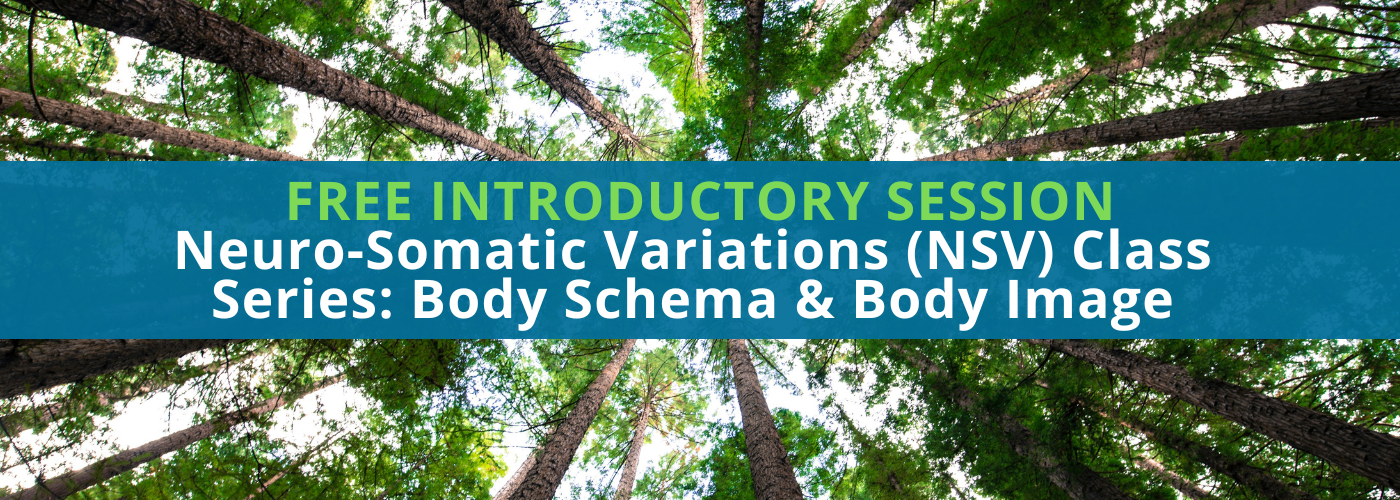 Free Introduction to Neuro-Somatic Variations (NSV) Class Series: Body Schema & Body Image