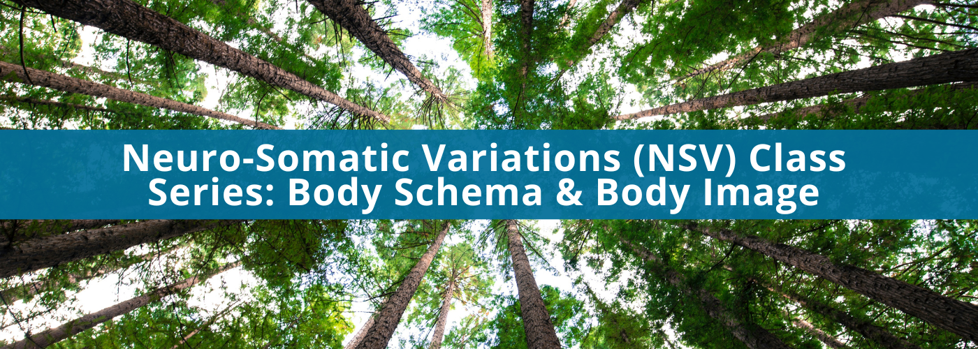 Neuro-Somatic Variations (NSV) Class Series: Body Schema & Body Image