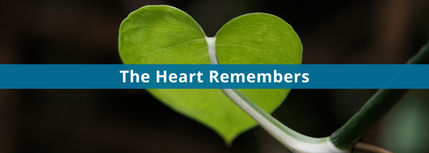 The Heart Remembers (1400 x 500 px)