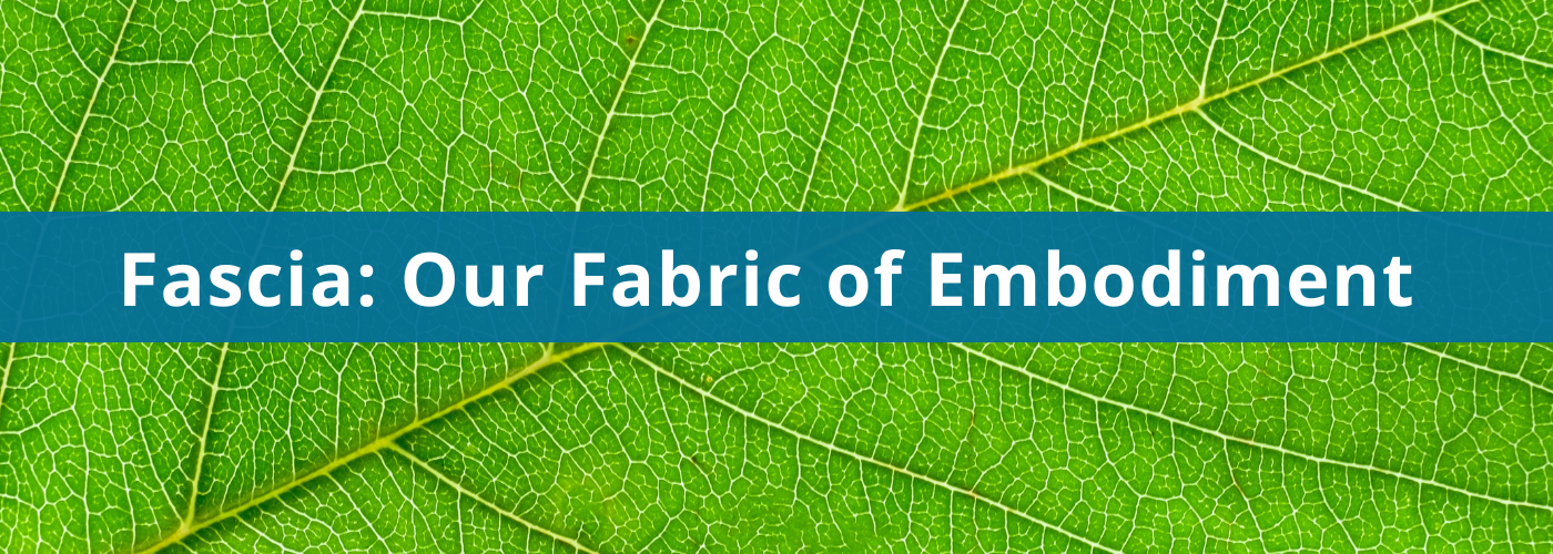 PDC Banners (1400x500)