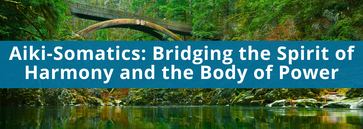 Aiki-Somatics: Bridging the Spirit of Harmony and the Body of Power with Paul Linden and Rich Sims