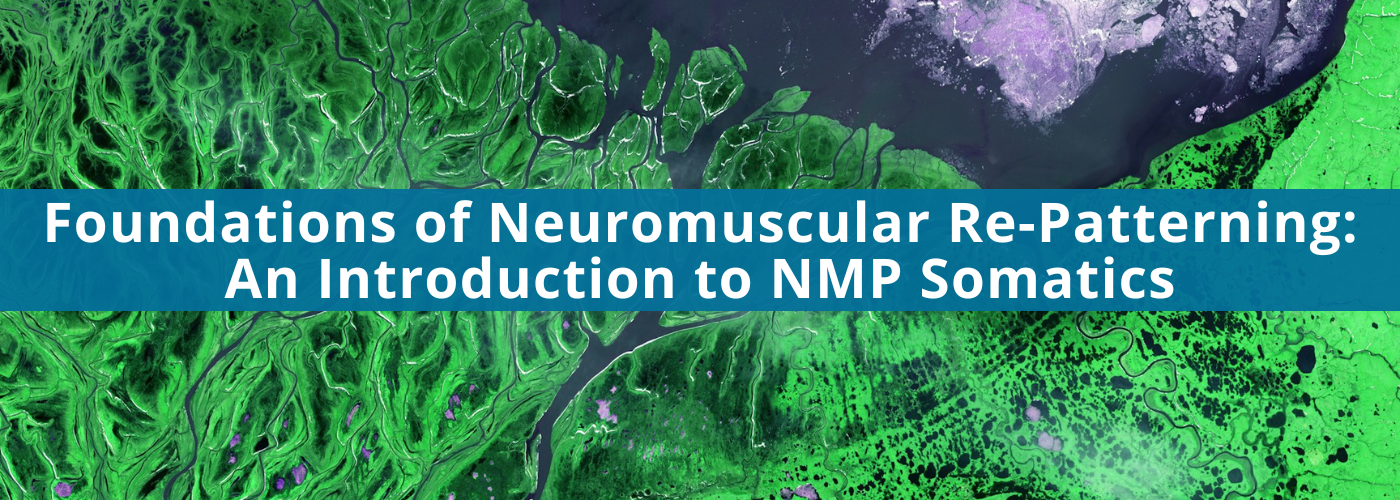 Foundations of Neuromuscular Re-Patterning: An Introduction to NMP Somatics with Nikki Semeniuk, RSME/T