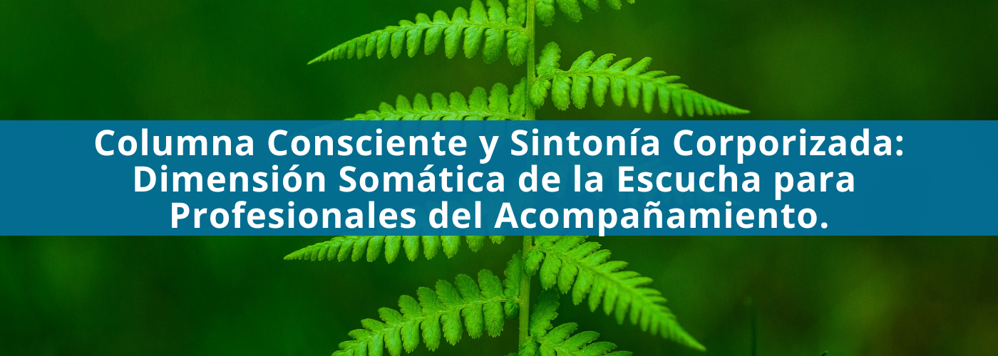 Columna Consciente y Sintonía Corporizada: Dimensión Somática de la Escucha para Profesionales del Acompañamiento.