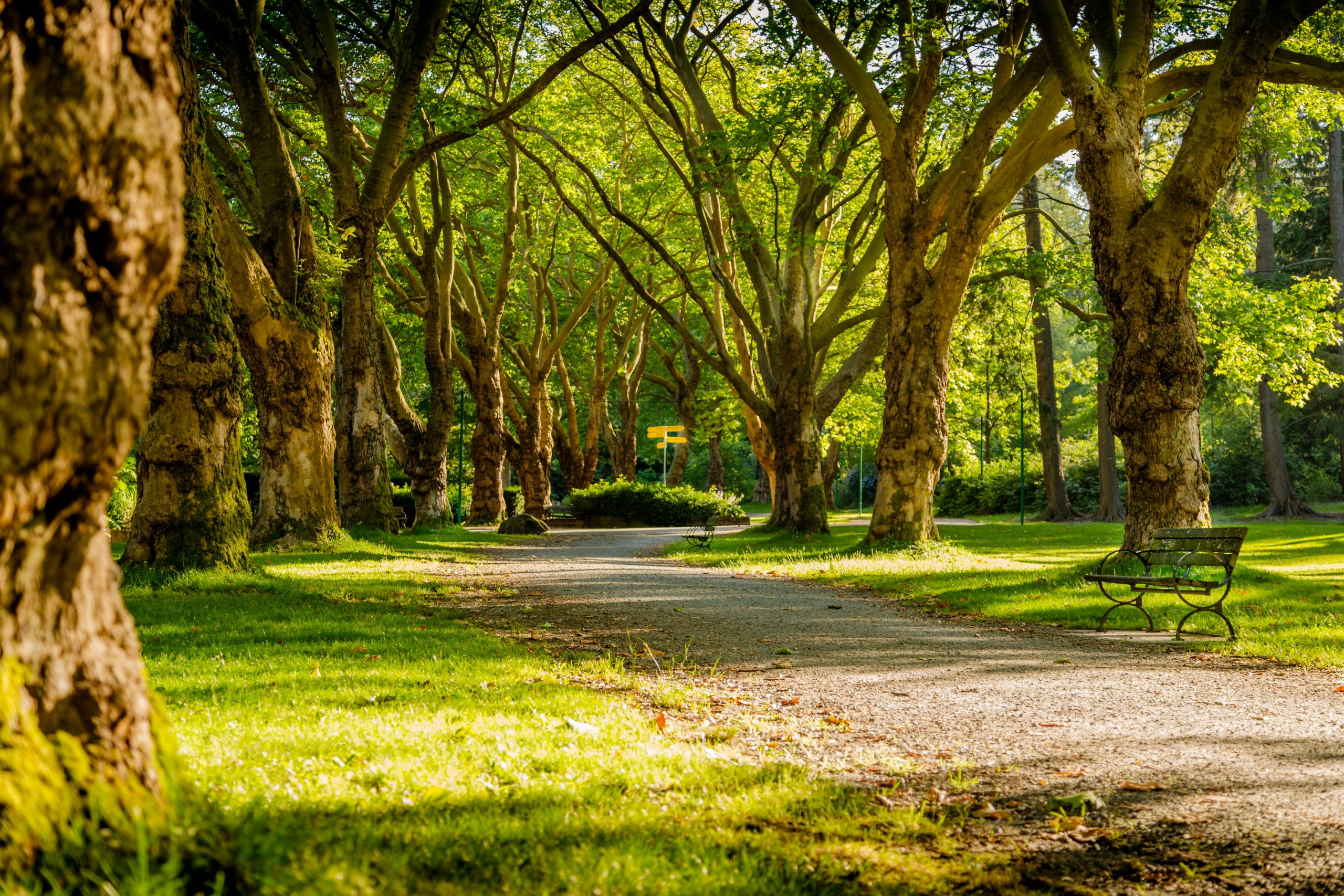 Stanley Park photo by Mike Benna